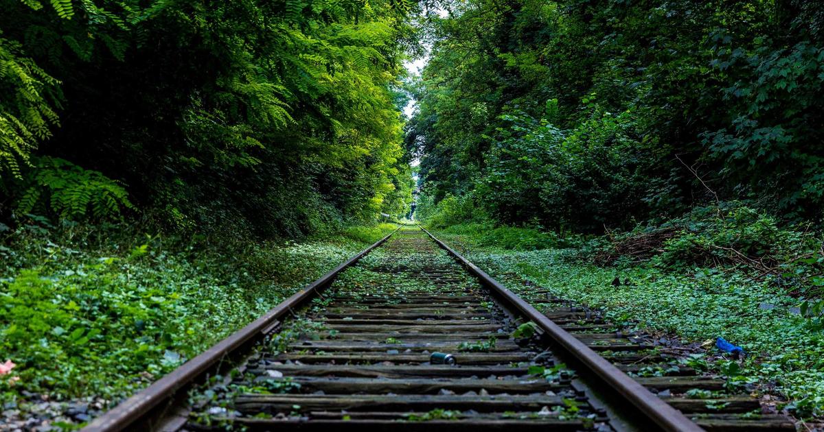 Low-Cost AI Prompts, Agents, and Skills: A Practical SEO Playbook